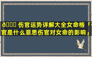 🐈 伤官运势详解大全女命格「伤官是什么意思伤官对女命的影响」